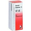 IMO RECKEWEG R14 GOCCE 50 ML