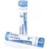 BOIRON Arnica Montana 9 ch Granuli 4g