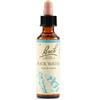 Schwabe Pharma Rock Water Bach Orig 20 Ml