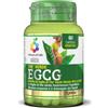 Optima Naturals COLOURS OF LIFE THE VERDE EGCG 60 CAPSULE VEGETALI