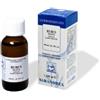 Sarandrea RUBUS IDAEUS 100 ML MACERATO GLICERICO