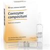Guna HEEL COENZYME COMPOSTO 10 FIALE DA 2,2 ML L'UNA