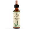 Schwabe Pharma Agrimony Bach Orig 20 Ml
