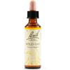 Schwabe Pharma WILD OAT BACH ORIG 20 ML