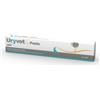 DRN URYVET CAT PASTA 15 ML