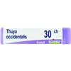 BOIRON THUYA OCCIDENTALIS 30 CH GLOBULI