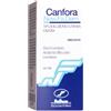 NEW.FA.DEM. Srl CANFORA*10% SOL OLEOSA 100ML