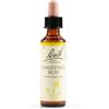 Schwabe Pharma Chestnut Bud Bach Orig 20 Ml