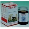 Vegetal Progress EQUILAT BIO 80 CAPSULE