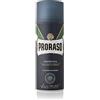 LUDOVICO MARTELLI Srl PRORASO SCHIUMA PROTETTIVA 400ML