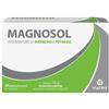 Magnosol - Magnosol 20 bustine effervescenti