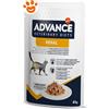 Advance Cat Veterinary Diets Renal - Bustina Da 85 Gr