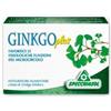 Ginkgo plus 30 capsule