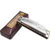 YUEKO Suzuki Folkmaster 1072 Armonica diatonica Standard Principiante Blues Arpa Gaita Chiave di A/Ab/B/Bb/C/D/Db/E/Eb/F/F #/G Strumento Musicale… (Chiave di Eb)