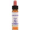 NATUR Srl SCLERANTHUS ESS 10ML INGL HERB