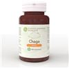 Funghi Energia & Salute Chaga basic