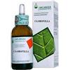 Arcangea Clorofilla Soluzione Idroalcolica 50ml