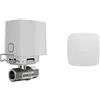 Ajax Valvola dell'acqua intelligente wireless WaterStop (Â¾" valve) + AJAX LeaksProtect - 52269