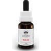 BUSH BIOTHERAPIES Pty Ltd Red Lily Australian Bush Flower Essences 15ml