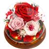 Touloube Rosa Stabilizzata Vera Regalo per la Festa Della Mamma per Donne Mamma Moglie, Avanzate Regalo Donna, Rosa Eterna Fiore Bella e la Bestia con Luci LED, Anniversario Regalo Rosa Moglie Nonna, Rosso