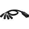 Adam Hall Cables 4 Star CATBOX XM3 Audio & DMX Adattatore 3 poli XLR maschio x Cat.6a