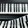 QMG Note per tastiera di pianoforte per principianti, etichette rimovibili per apprendimento, chiave a rastrello per pianoforte a 88 tasti, riutilizzabile, non c'è bisogno di adesivi