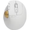 DeLUX Trackball Mouse Ergonomico Wireless, Facile Controllo del Pollice, Multi-Dispositivo, Bluetooth 5.0, Ricevitore USB da 2,4 G, 400-2400 DPI, per PC/Computer/Portatile/Mac/Laptop (MT1-Bianca)