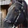 FHXYZ Briglie per cavalli in pelle, con morbida imbottitura e fibbia a guancia singola per accessori per cavalli, attrezzatura da corsa di cavalli, misura regolabile (nero)