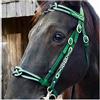 FHXYZ Briglie da cavallo a grandezza naturale - Redini equestri in pelle - con morbida fibbia imbottita e singola guancia per accessori per cavalli, attrezzatura da corsa - misura regolabile (verde)