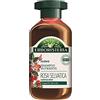 Antica Erboristeria Set 6 ANTICA ERBORISTERIA Shampoo rosa selvatica 250 ml prodotto per capelli