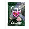 SENSAS CARP TASTY POWDER STRAWBERRY 300 GR SEN74480
