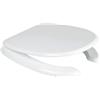 BAGNOEXPERT Copriwater in Poliestere per vaso/bidet disabili Confort - Cod. Articolo: 11S/340A