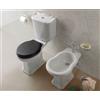 CERAMICA GLOBO Sanitari Paestum monoblocco cm. 67x38 con sedile in termoindurente a chiusura tradizionale - Cod. Articolo: PA003.BI+PA012.BI+VA124+PA009.BI+PA019