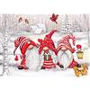 QENSPE 5D Diamond Painting Kit per Adulti, Pittura Diamante Natale Gnomi Diamond Painting Kit Completo per Principianti e Bambini, DIY Decorazione per Casa e Pareti 30x40 cm