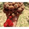 5 Mukhi RUDRAKSHA Rudraksh Mala ROSARIO 54+1 grandi perline 18-20 mm rosso