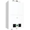 SCALDABAGNO A GAS FERROLI PEGASO ECO 11 LT LOW NOX