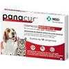 MSD Animal Health Panacur Forte Compresse 500mg per Cani e Gatti - 10 cp