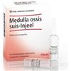 Guna Medulla ossis suis-Injeel 10 fiale senza glutine