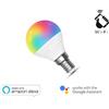 Homcloud LAMPADA LED SMART EE-45WE14G RGB + BIANCO CALDO E14 G45 DIMMERABILE WIFI - ALEXA E GOOGLE HOME