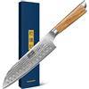 HOSHANHO Coltello da Chef Damasco, 18cm Professionale Coltelli da Santoku Acciaio da Damasco 67 Strati, Professionali Coltello da Cucina con Lmpugnatura Ergonomica