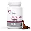 Vet Expert Hepatiale Forte, opzione: Hepatiale Forte Small Breed & Cats (40 capsule)