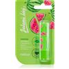 Regina Jelení lůj Watermelon 4.5 g