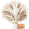 ZJTAPE Piume Erba della pampas - 83 Pezzi Erba di Pampa Essiccata Naturale, Marrone、Bianca Erba di Pampa Fronde Soffici, Bouquet di Fiori Secchi per tavolo da matrimonio, decorazioni per la casa Boho