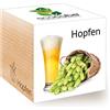 Feel Green Ecocube Hopfen, Idea Regalo sostenibile (100% Eco Friendly), Grow Your Own Craft Beer/Set di Coltivazione, Piante nel Dado di Legno, Made in Austria