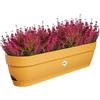 Elho Vibia Campana Trough 70 - Fioriera per Balcone - Ø 69.0 x H 17.0 cm - Giallo/Honey Yellow