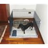 FERPLAST RECINTO PER CANI DOG TRAINING FERPLAST