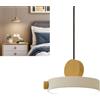 Mengjay Lampadari LED Soffitto Dimmerabile, lampade a sospensione Led Moderna Rotonda 13W, Lampadario Soffitto Con cavo da 100cm, per Corridoio, Cucina, Soggiorno, Camera, Bagno(∅20CM) (Bianco)