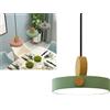 Mengjay Lampadari LED Soffitto Dimmerabile, lampade a sospensione Led Moderna Rotonda 13W, Lampadario Soffitto Con cavo da 100cm, per Corridoio, Cucina, Soggiorno, Camera, Bagno(∅20CM) (Verde)
