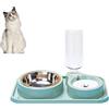 Kakbrt Ciotola per Gatti,Distributore Acqua Pet Feeder Automatico,2 in 1 Distributori Automatici di Cibo Acqua per Gatti e Cani,Ciotola per Gatti e Cani di Piccola Taglia (Verde)