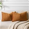 JUSPURBET Confezione da 2 federe decorative per cuscini in velluto color ruggine, 12 x 20 pezzi, morbide e solide